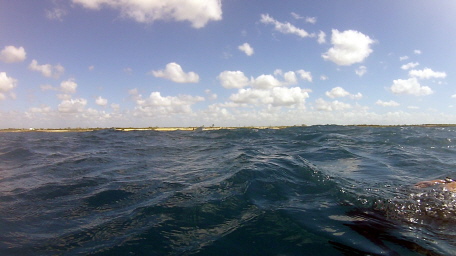 Tauchen Bayahibe